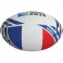 Ballon flag France RWC 2015