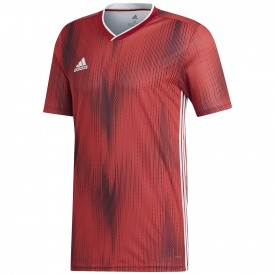 Maillot Tiro 19 MC - Adidas DP35