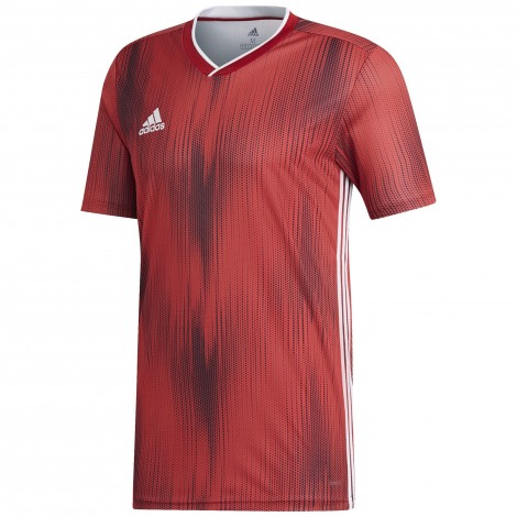 Maillot Tiro 19 MC Adidas