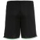 Short Jaro