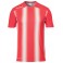 Maillot Stripe 2.0