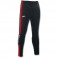 Pantalon Champion IV