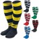 Chaussettes Zebra II