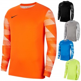 Maillot de Gardien Park IV GK - Nike CJ6066