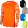 Maillot de Gardien Park IV GK