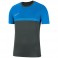 Maillot Academy Pro Training Top