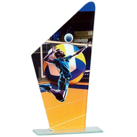 Trophée Volley-ball 66119 Trophée Volley-ball 66119 France Sport