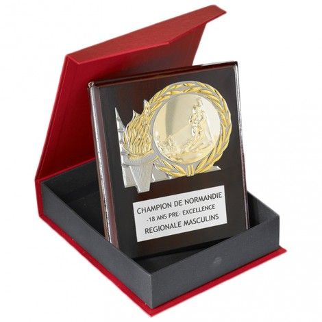 Plaque avec écrin 12 x 15 cm Plaque avec écrin 12 x 15 cm France Sport