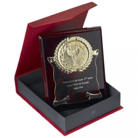 Plaque avec écrin 12 x 15 cm Plaque avec écrin 12 x 15 cm France Sport