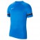 Maillot d'entrainement Academy 21