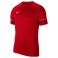 Maillot d'entrainement Academy 21