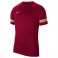 Maillot d'entrainement Academy 21