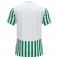Maillot Copa II