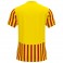 Maillot Copa II