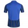 Maillot Copa II