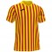 Maillot Copa II