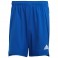 Short Condivo 21