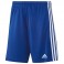 Short Squadra 21