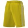 Short Squadra 21