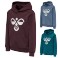 Sweat à capuche HMLCuatro Jr