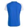 Maillot Academy IV Femme