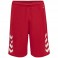 Short de basket HmlCore XK