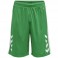 Short de basket HmlCore XK