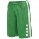 Short de basket HmlCore XK