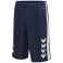 Short de basket HmlCore XK