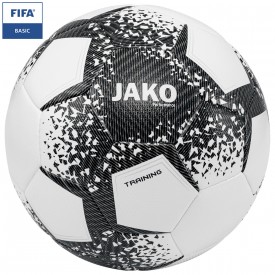 Ballon d'entraînement Performance - Jako J_2301