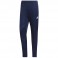 Pantalon d'entraînement Entrada 22