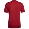 Maillot Entrada 22 Gfx