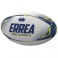 Ballon de Rugby Academy ID