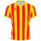 Maillot Strip