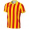 Maillot Strip