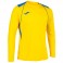 Maillot Championship VII ML