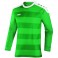 Maillot Celtic ML