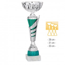 Coupe Promo F1 - France Sport F1_208