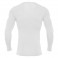 Baselayer Holly