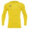 Baselayer Holly