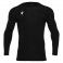 Baselayer Holly