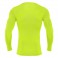 Baselayer Holly