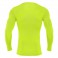 Baselayer Holly