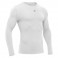 Baselayer Turtle Performance ML