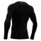 Baselayer Turtle Performance ML