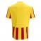 Maillot Sceptrum