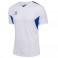 Maillot HmlAuthentic PL Jersey