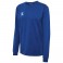 Sweat d'entraînement HmlAuthentic CO
