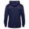 Sweat à capuche HmlPoly Logo