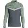 Sweat 1/4 ziptop Iconic